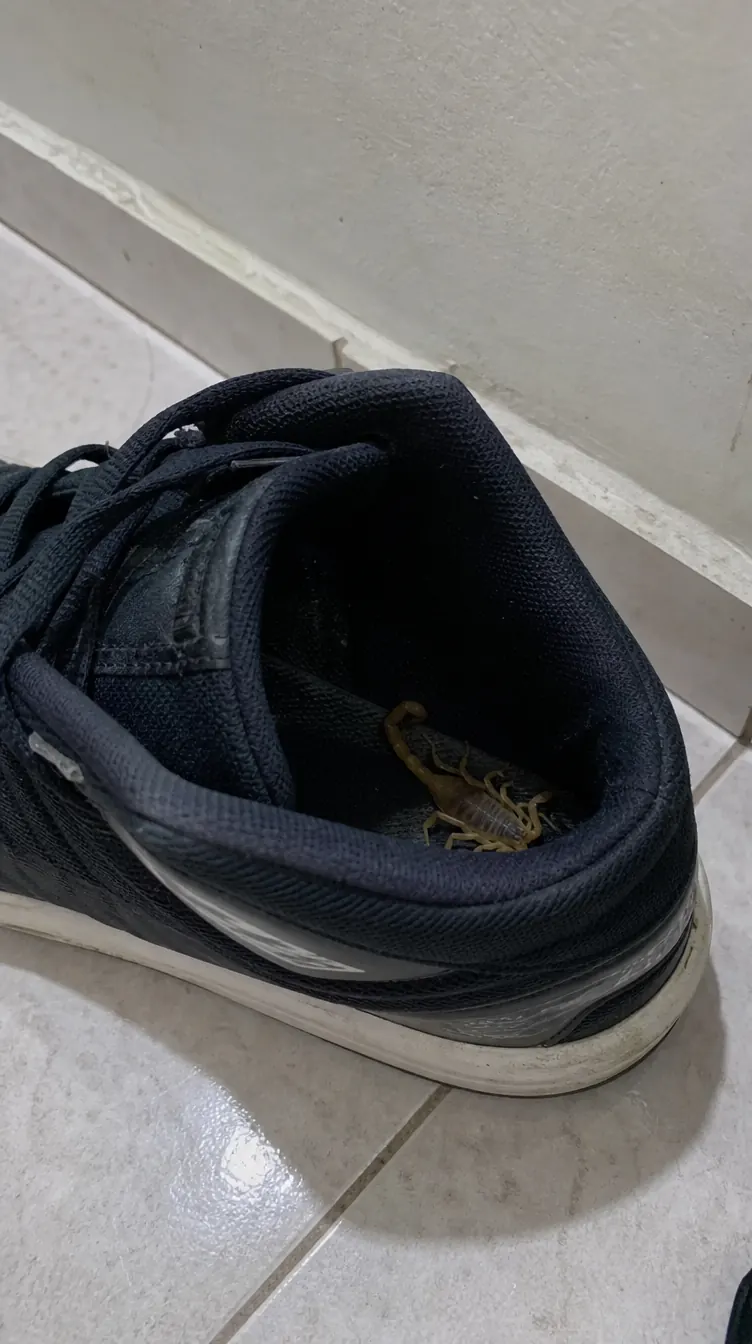 Tênis no chão